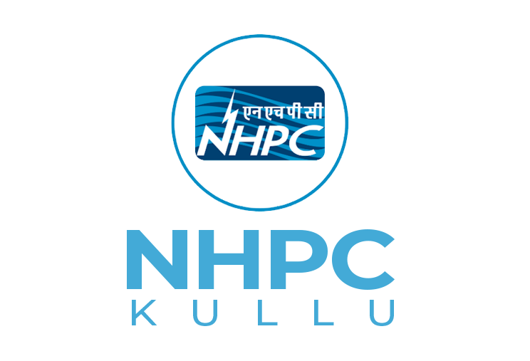 logo 13